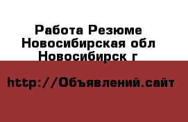 Работа Резюме. Новосибирская обл.,Новосибирск г.